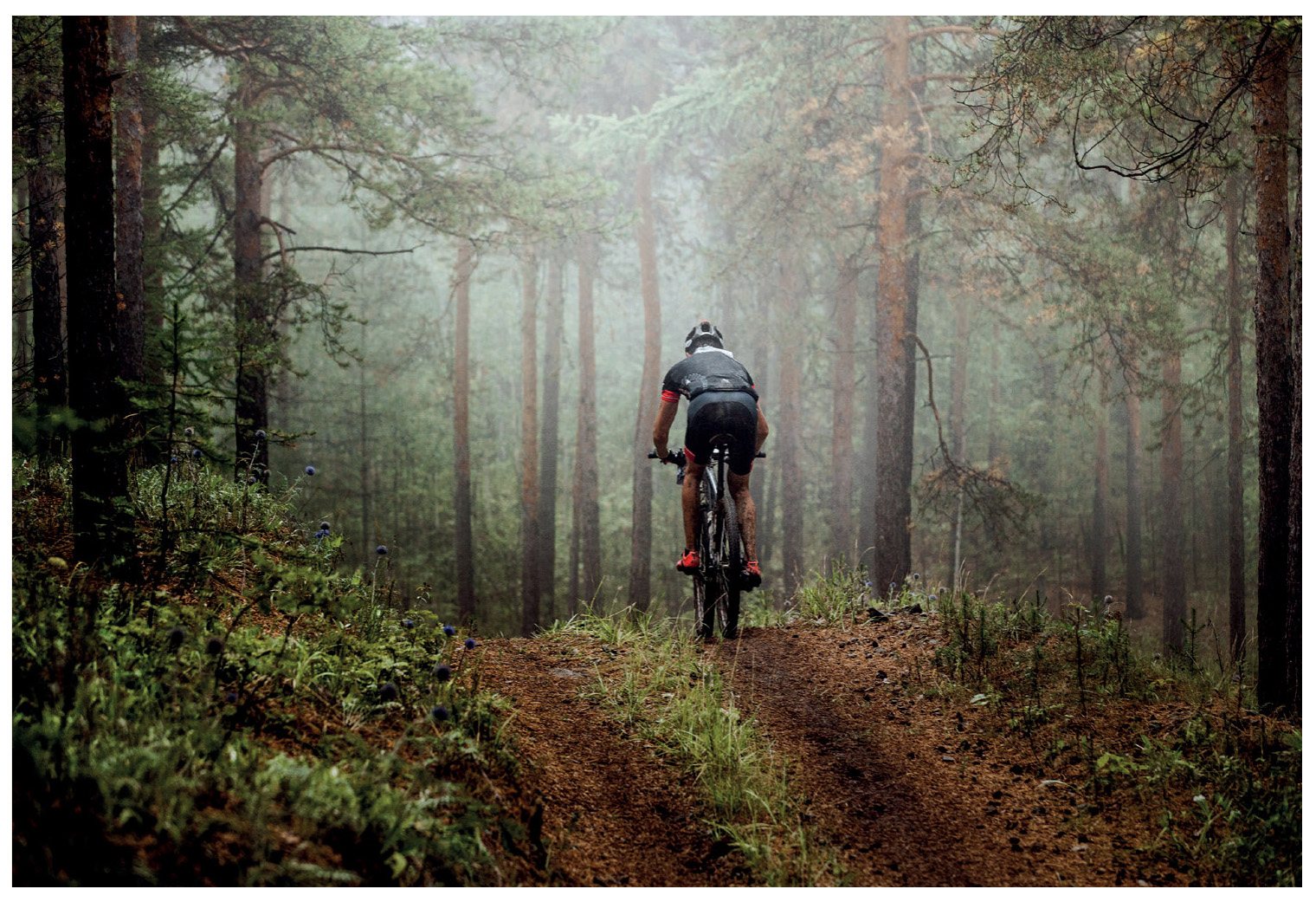 Vélo de montagne en forêt près du domaine