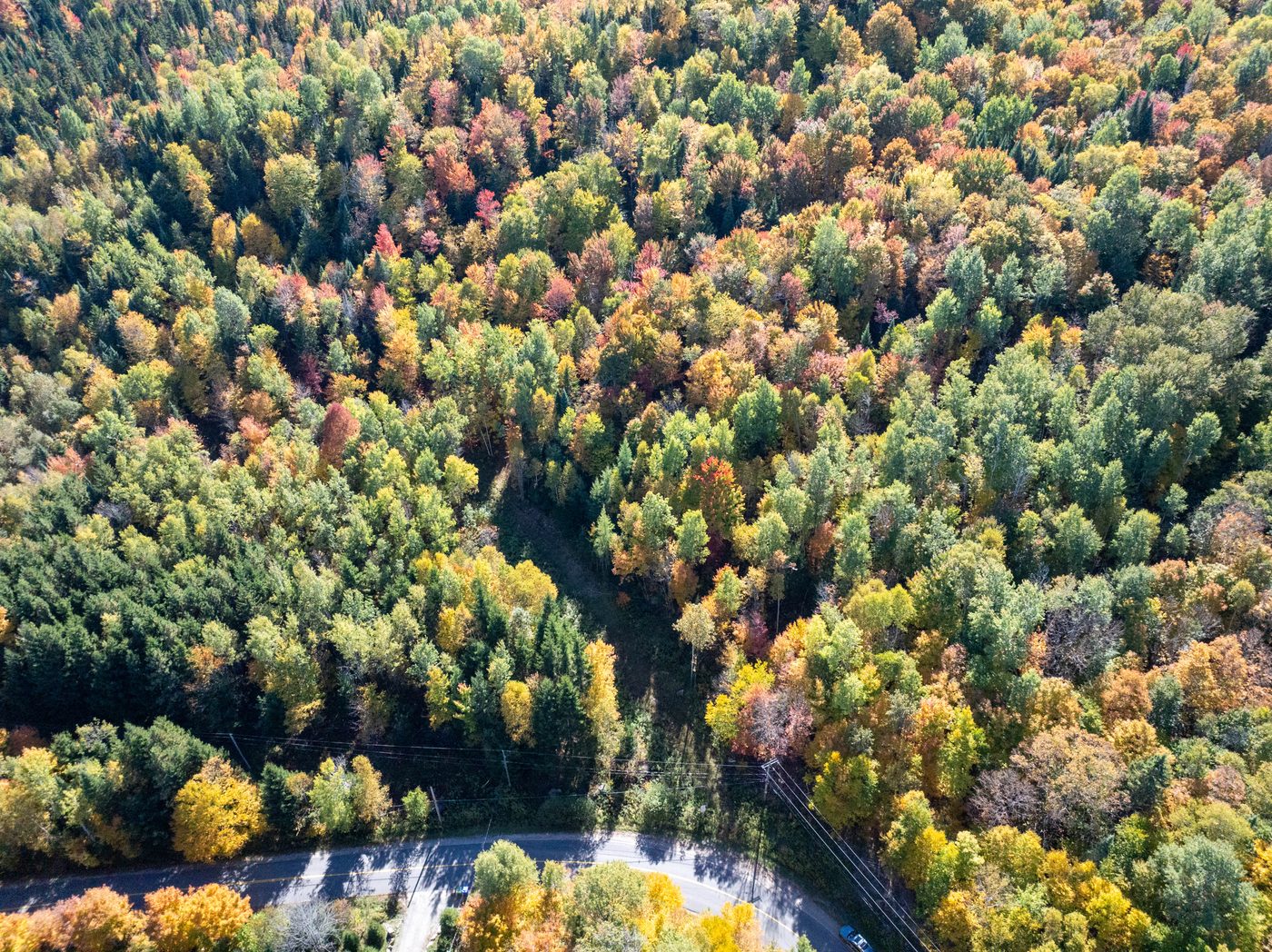 Lots et chemins déjà aménagés sur le site